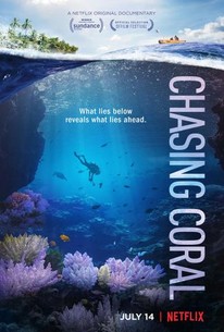Nonton Movie - Chasing Coral(2017)